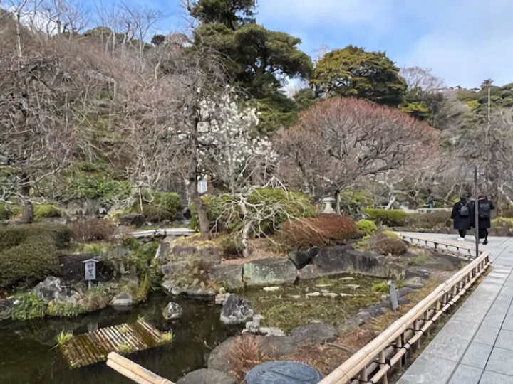 ランチビュッフェ&鎌倉寺巡り