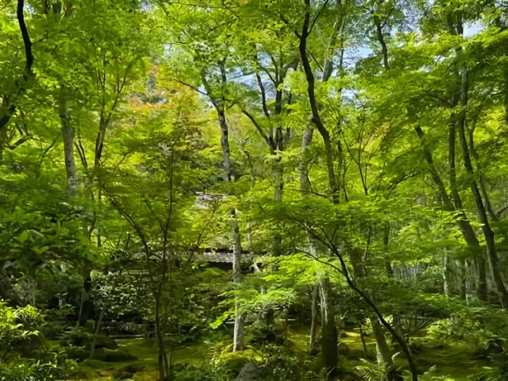 そうだ、京都行こう～Part2