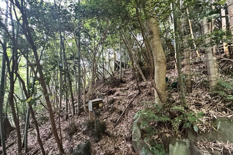 南箱根ダイヤランド竹林に包まれ静寂な立地に佇む温泉付ポツンと一軒家