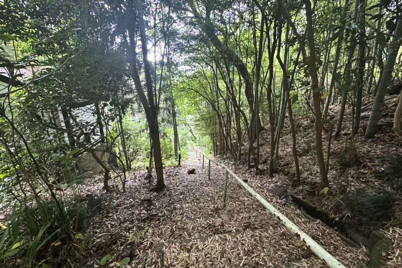 南箱根ダイヤランド竹林に包まれ静寂な立地に佇む温泉付ポツンと一軒家