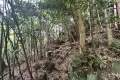 南箱根ダイヤランド竹林に包まれ静寂な立地に佇む温泉付ポツンと一軒家 画像7