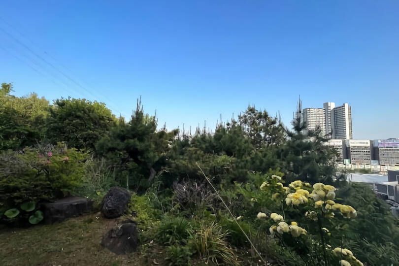 現地