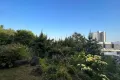 現地
