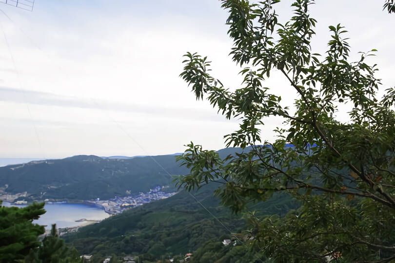 熱海自然郷・山々の借景＆相模湾遠望する温泉と茶室のある中古戸建