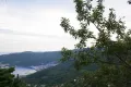 熱海自然郷・山々の借景＆相模湾遠望する温泉と茶室のある中古戸建 画像12