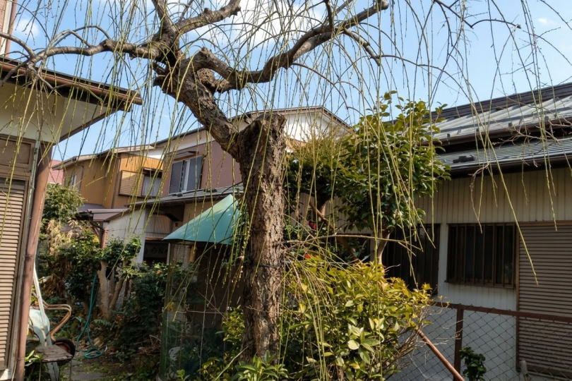小田原市国府津・四季を感じる池庭と伝統美　囲炉裏のある大型和邸宅