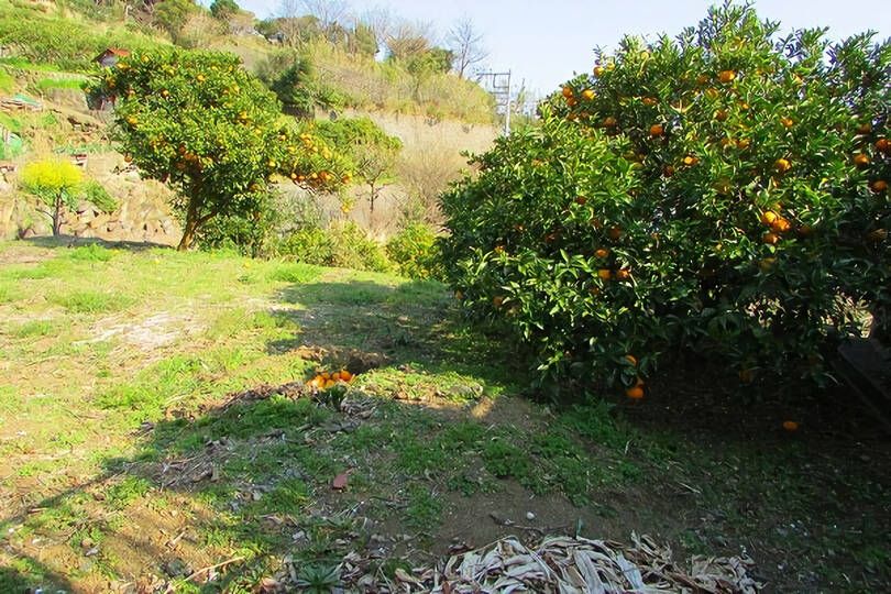 湯河原町吉浜・自然豊かで長閑な陽当たり良好な売地