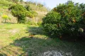 湯河原町吉浜・自然豊かで長閑な陽当たり良好な売地 画像3