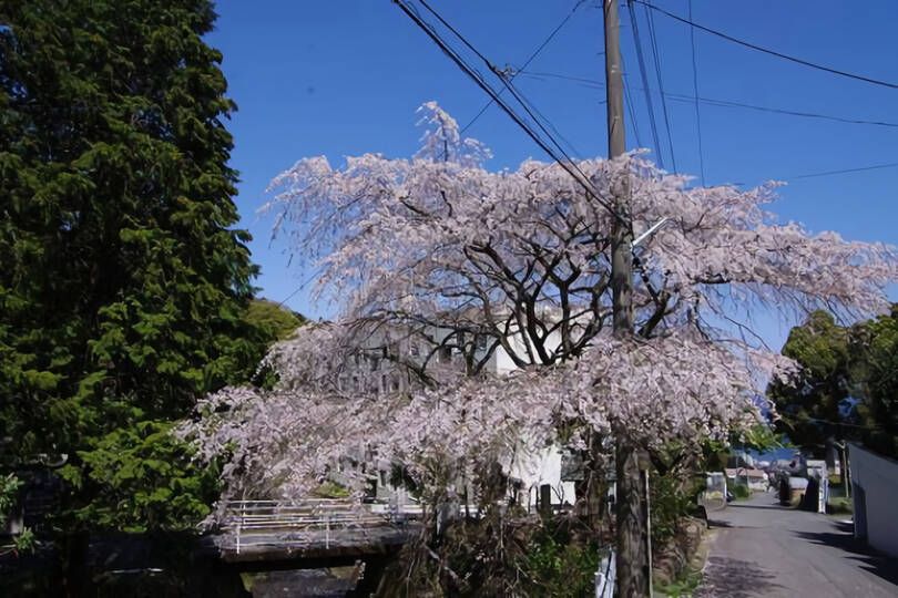 熱海市下多賀・住環境良好の中野分譲地内の高台の売地