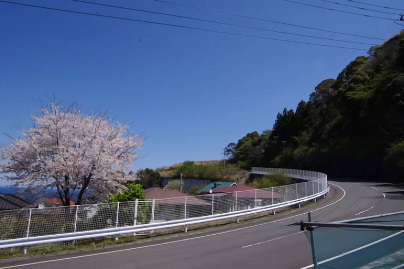 熱海市下多賀・住環境良好の中野分譲地内の高台の売地