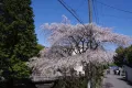 熱海市下多賀・住環境良好の中野分譲地内の高台の売地 画像6