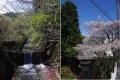 熱海市下多賀・住環境良好の中野分譲地内の高台の売地 画像7
