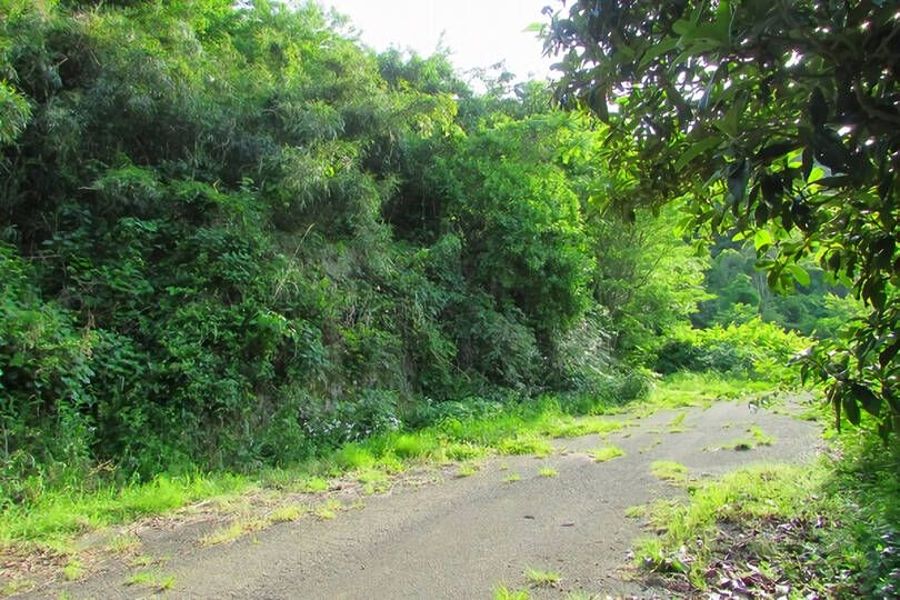 伊東市宇佐美・駅徒歩圏で山手エリアに位置する事業用に適した広大な売地（２区画）