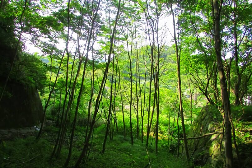 伊東市宇佐美・駅徒歩圏で山手エリアに位置する事業用に適した広大な売地（２区画）