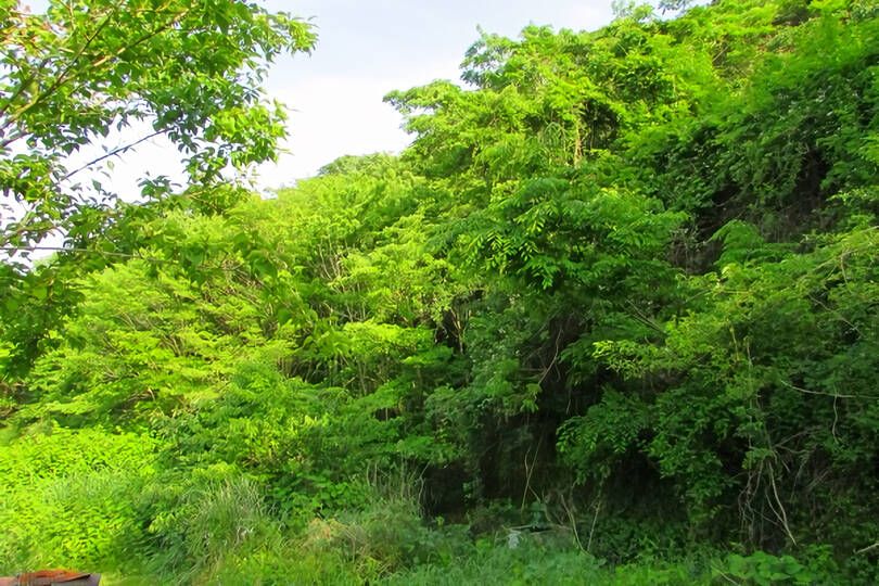 伊東市宇佐美・駅徒歩圏で山手エリアに位置する事業用に適した広大な売地（２区画）
