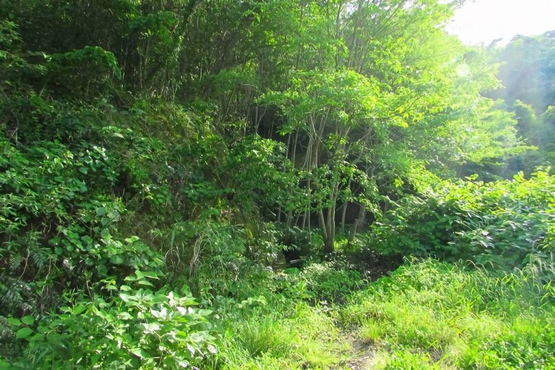 伊東市宇佐美・駅徒歩圏で山手エリアに位置する事業用に適した広大な売地（２区画）