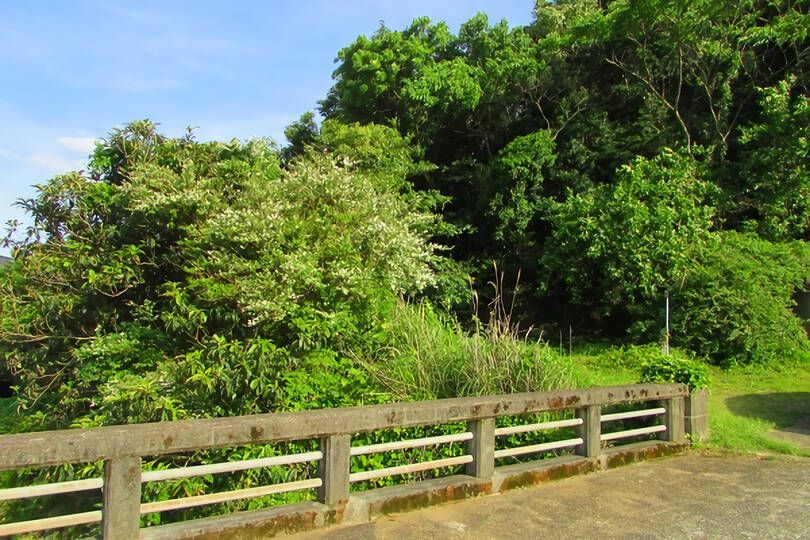 伊東市宇佐美・駅徒歩圏で山手エリアに位置する事業用に適した広大な売地（２区画）