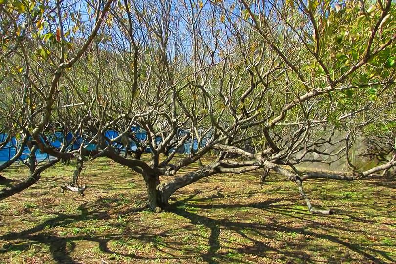 熱海市伊豆山・約１50坪の高台で陽当たり良好の売地