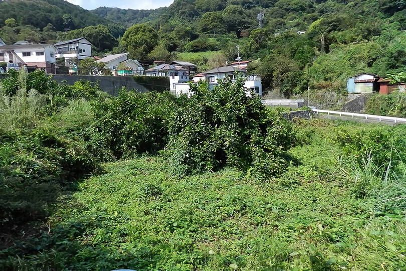 熱海市下多賀・約３５０坪  海望む南向きひな壇で陽当たり良好の売地