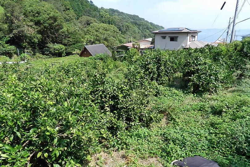 熱海市下多賀・約３５０坪  海望む南向きひな壇で陽当たり良好の売地