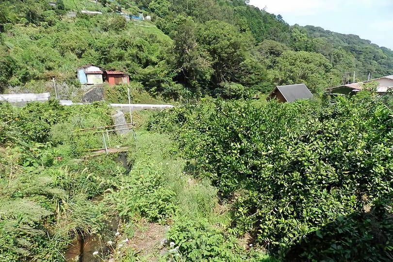 熱海市下多賀・約３５０坪  海望む南向きひな壇で陽当たり良好の売地