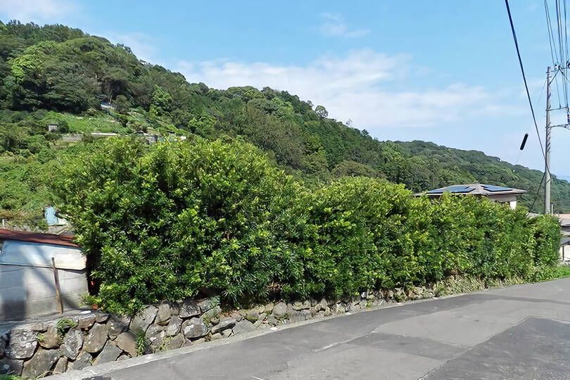 熱海市下多賀・約３５０坪  海望む南向きひな壇で陽当たり良好の売地
