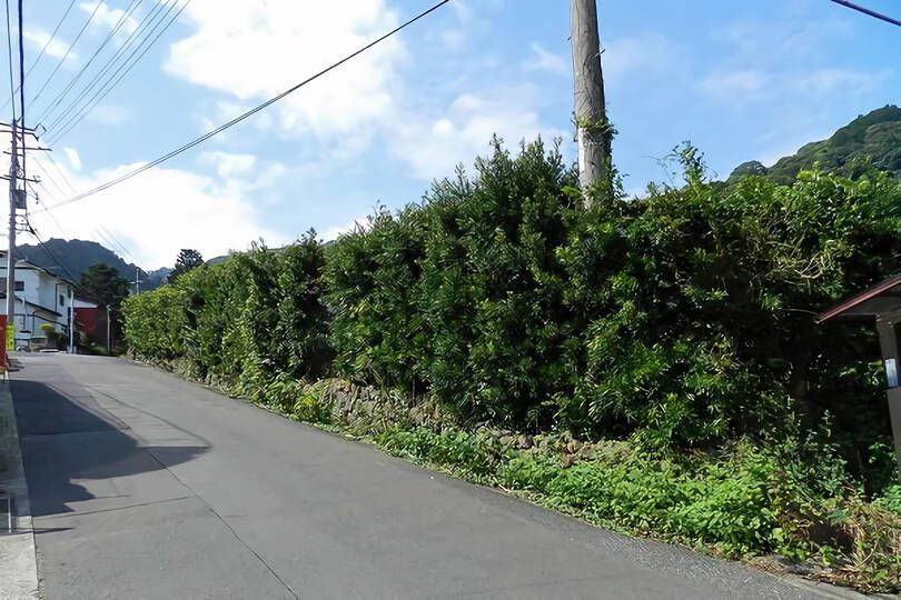 熱海市下多賀・約３５０坪  海望む南向きひな壇で陽当たり良好の売地