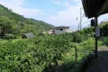 熱海市下多賀・約３５０坪  海望む南向きひな壇で陽当たり良好の売地 画像3