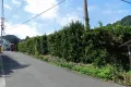 熱海市下多賀・約３５０坪  海望む南向きひな壇で陽当たり良好の売地 画像9