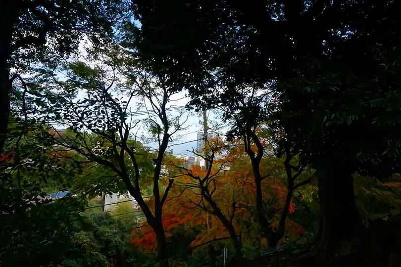 熱海市林が丘町・高台より相模湾を遠望する売地