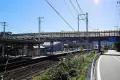 真鶴町真鶴・敷地約４６坪　駅北側徒歩約５分の売地 画像9