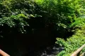 熱海市西山町・敷地約５０５坪　温泉引込可能な事業用地 画像4