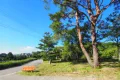小松ケ原別荘地内・敷地約100坪　平坦で富士山を遠望する売地 画像5
