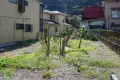 現地