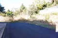 現地