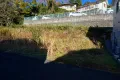 現地