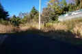 現地