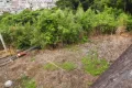熱海市熱海・敷地約71坪　高台より市街地望む陽当り良好な売地 画像2