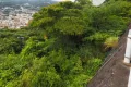 熱海市熱海・敷地約71坪　高台より市街地望む陽当り良好な売地 画像3