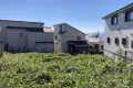 現地