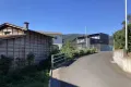 現地