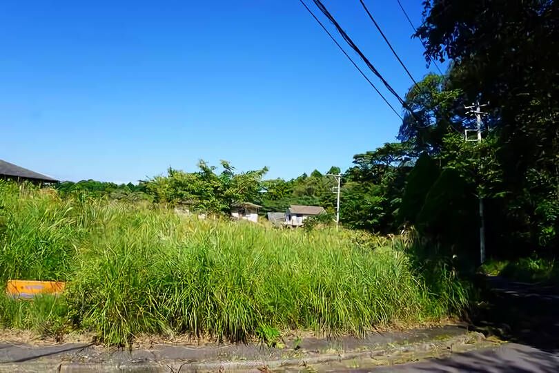 現地