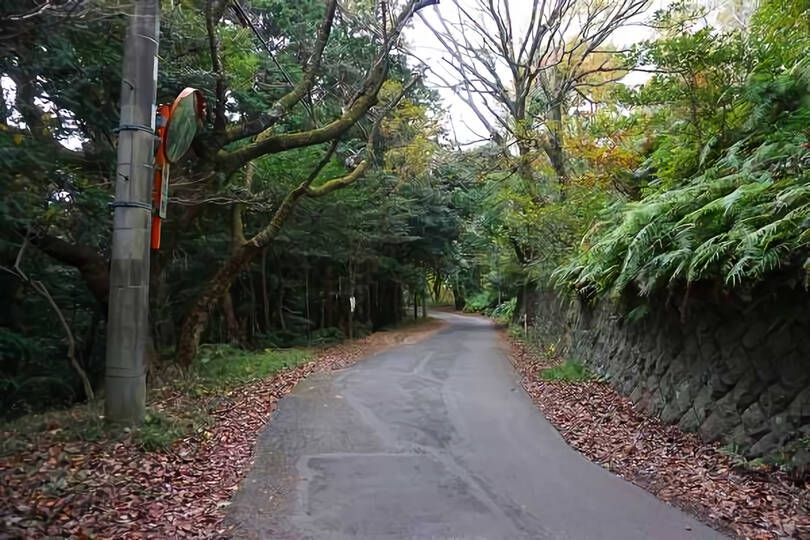 現地