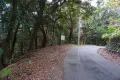 現地