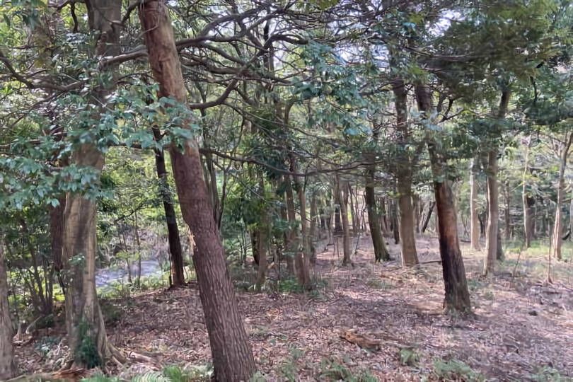 熱海市網代・網代山別荘地内温泉引込可能な広大な土地　約7070坪