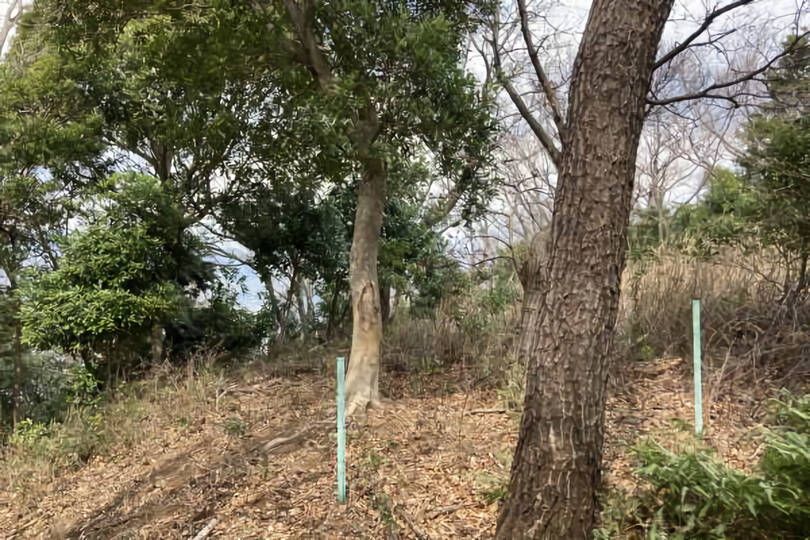 熱海市網代・網代山別荘地内温泉引込可能な広大な土地　約7070坪