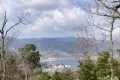 熱海市網代・網代山別荘地内温泉引込可能な広大な土地　約7070坪 画像1