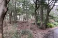 熱海市網代・網代山別荘地内温泉引込可能な広大な土地　約7070坪 画像5
