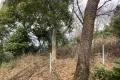 熱海市網代・網代山別荘地内温泉引込可能な広大な土地　約7070坪 画像7