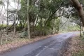 熱海市網代・網代山別荘地内温泉引込可能な広大な土地　約7070坪 画像9